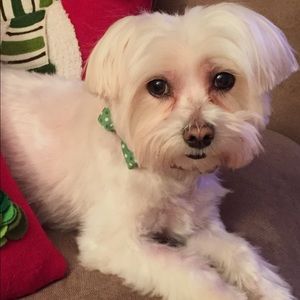 Meet your Posher, Cheryl